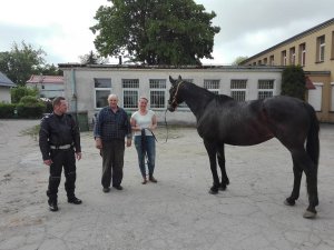 Umundurowany funkcjonariusz, funkcjonariuszka w ubraniu cywilnym, mieszkaniec Kmiecina wraz z koniem